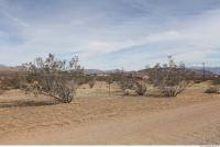 background desert California 0013